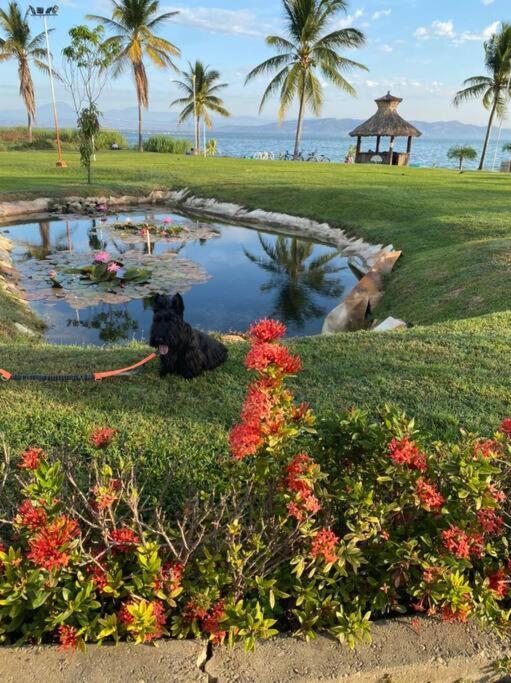 Acapulco Diamante Hermoso Departamento Dış mekan fotoğraf